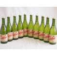 10本セット(長野県産りんご スペイン風シードル ストロングサワー 辛口) 750ml×10本
