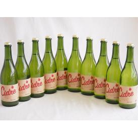 10本セット(長野県産りんご スペイン風シードル ストロングサワー 辛口) 750ml×10本