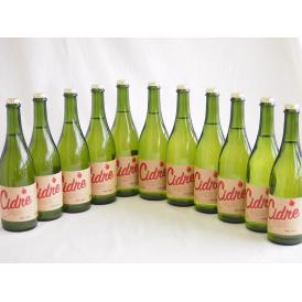 11本セット(長野県産りんご スペイン風シードル ストロングサワー 辛口) 750ml×11本