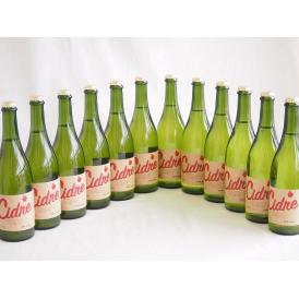 12本セット(長野県産りんご スペイン風シードル ストロングサワー 辛口) 750ml×12本