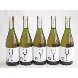 5本セット(なしのお酒 千葉県柏市産梨シードル 甘口) 750ml×5本