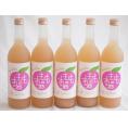 5本セット(中埜酒造 國盛 フルリア もものお酒 (愛知県)) 720ml×5本