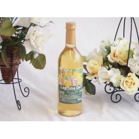 名護産パイナップルワイン ラグリマデルソル 辛口 720ml×1本
