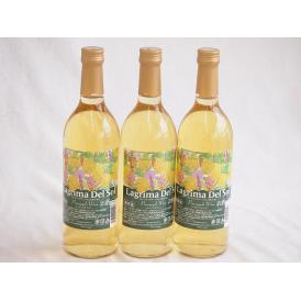 3本セット(名護産パイナップルワイン ラグリマデルソル 辛口) 720ml×3本
