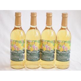 4本セット(名護産パイナップルワイン ラグリマデルソル 辛口) 720ml×4本