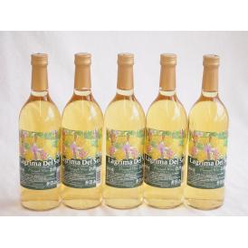 5本セット(名護産パイナップルワイン ラグリマデルソル 辛口) 720ml×5本