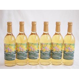 6本セット(名護産パイナップルワイン ラグリマデルソル 辛口) 720ml×6本
