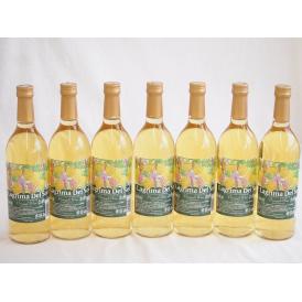 7本セット(名護産パイナップルワイン ラグリマデルソル 辛口) 720ml×7本
