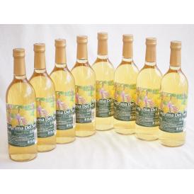 8本セット(名護産パイナップルワイン ラグリマデルソル 辛口) 720ml×8本