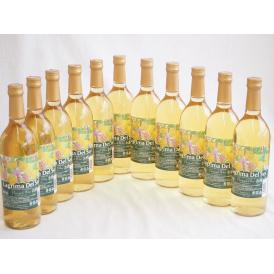11本セット(名護産パイナップルワイン ラグリマデルソル 辛口) 720ml×11本