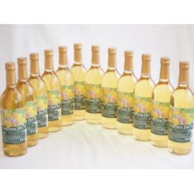12本セット(名護産パイナップルワイン ラグリマデルソル 辛口) 720ml×12本