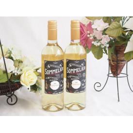 2本セット(チリ白ワイン クレマスキ フルロッティ ソムリエ シャルドネ) 750ml×2本