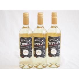 3本セット(チリ白ワイン クレマスキ フルロッティ ソムリエ シャルドネ) 750ml×3本