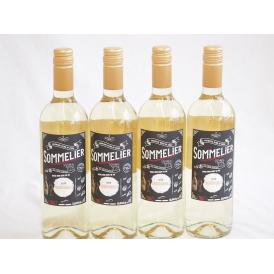 4本セット(チリ白ワイン クレマスキ フルロッティ ソムリエ シャルドネ) 750ml×4本
