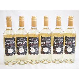 6本セット(チリ白ワイン クレマスキ フルロッティ ソムリエ シャルドネ) 750ml×6本