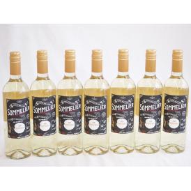 7本セット(チリ白ワイン クレマスキ フルロッティ ソムリエ シャルドネ) 750ml×7本