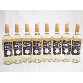 8本セット(チリ白ワイン クレマスキ フルロッティ ソムリエ シャルドネ) 750ml×8本