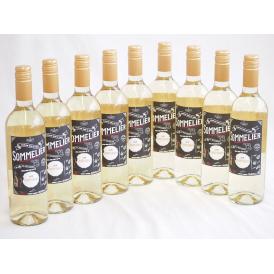 9本セット(チリ白ワイン クレマスキ フルロッティ ソムリエ シャルドネ) 750ml×9本