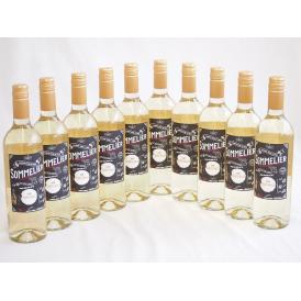 10本セット(チリ白ワイン クレマスキ フルロッティ ソムリエ シャルドネ) 750ml×10本