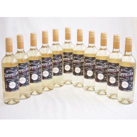 11本セット(チリ白ワイン クレマスキ フルロッティ ソムリエ シャルドネ) 750ml×11本