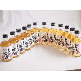 12本セット(紀州産南高梅100% おばあちゃんの梅酒 14度) 300ml×12本