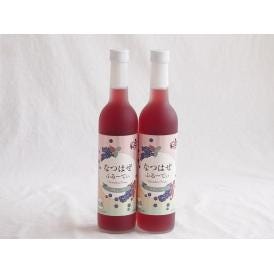 2本セット(奥の松リキュール なつはぜふるーてぃ (福島県)) 500ml×2本