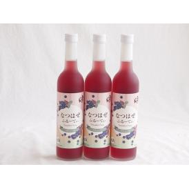 3本セット(奥の松リキュール なつはぜふるーてぃ (福島県)) 500ml×3本
