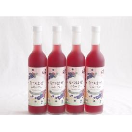 4本セット(奥の松リキュール なつはぜふるーてぃ (福島県)) 500ml×4本