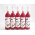5本セット(奥の松リキュール なつはぜふるーてぃ (福島県)) 500ml×5本