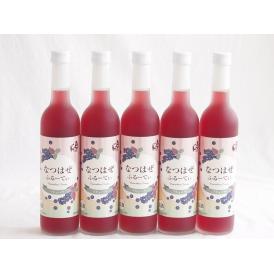 5本セット(奥の松リキュール なつはぜふるーてぃ (福島県)) 500ml×5本
