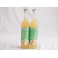 2本セット(さわやかへべすリキュール 14％ 井上酒造(宮崎県)) 500ml×2本