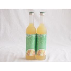 2本セット(さわやかへべすリキュール 14％ 井上酒造(宮崎県)) 500ml×2本