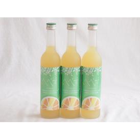 3本セット(さわやかへべすリキュール 14％ 井上酒造(宮崎県)) 500ml×3本