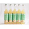 5本セット(さわやかへべすリキュール 14％ 井上酒造(宮崎県)) 500ml×5本