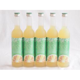 5本セット(さわやかへべすリキュール 14％ 井上酒造(宮崎県)) 500ml×5本