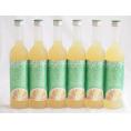 6本セット(さわやかへべすリキュール 14％ 井上酒造(宮崎県)) 500ml×6本