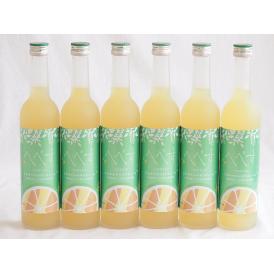 6本セット(さわやかへべすリキュール 14％ 井上酒造(宮崎県)) 500ml×6本