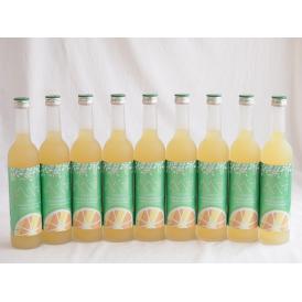 9本セット(さわやかへべすリキュール 14％ 井上酒造(宮崎県)) 500ml×9本