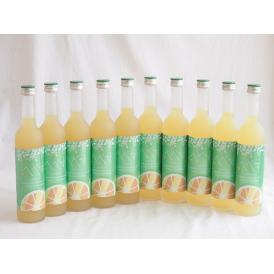 10本セット(さわやかへべすリキュール 14％ 井上酒造(宮崎県)) 500ml×10本