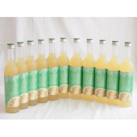 11本セット(さわやかへべすリキュール 14％ 井上酒造(宮崎県)) 500ml×11本