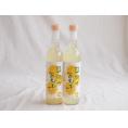 2本セット(日向夏果汁リキュール 日向の夏子  12% 井上酒造(宮崎県)) 500ml×2本