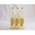 3本セット(日向夏果汁リキュール 日向の夏子  12% 井上酒造(宮崎県)) 500ml×3本