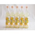 5本セット(日向夏果汁リキュール 日向の夏子  12% 井上酒造(宮崎県)) 500ml×5本