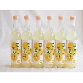 6本セット(日向夏果汁リキュール 日向の夏子  12% 井上酒造(宮崎県)) 500ml×6本