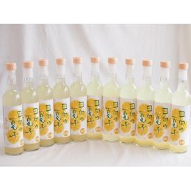 11本セット(日向夏果汁リキュール 日向の夏子  12% 井上酒造(宮崎県)) 500ml×11本