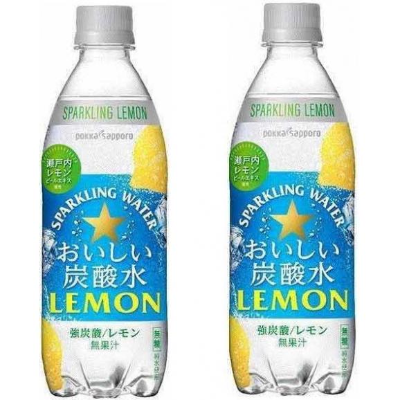 Amazon.co.jp: 山野草醗酵酵素 【女性誌で注目の自然派ザクロ