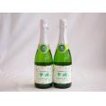 2本セット(山梨県産100％勝沼仕込　甲州スパークリングワイン やや辛口) 720ml×2本