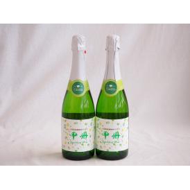 2本セット(山梨県産100％勝沼仕込　甲州スパークリングワイン やや辛口) 720ml×2本