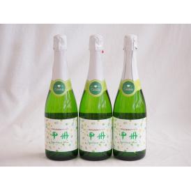 3本セット(山梨県産100％勝沼仕込　甲州スパークリングワイン やや辛口) 720ml×3本