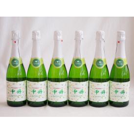 6本セット(山梨県産100％勝沼仕込　甲州スパークリングワイン やや辛口) 720ml×6本